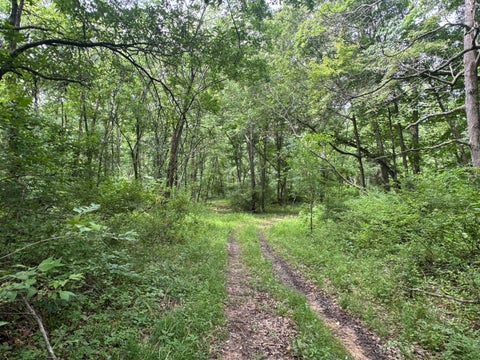 Tiny photo for 1669 US Highway 45 Highway, Cisne, IL 62823 (MLS # 12663662)