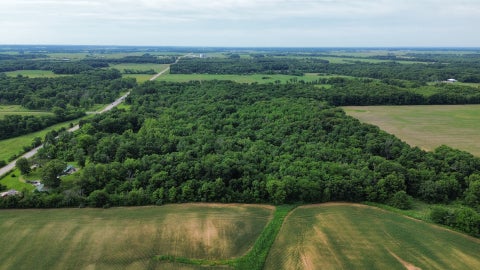 Tiny photo for 1669 US Highway 45 Highway, Cisne, IL 62823 (MLS # 12663662)