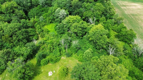 Tiny photo for 1669 US Highway 45 Highway, Cisne, IL 62823 (MLS # 12663662)