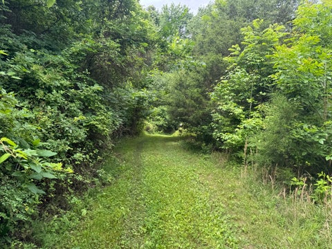 Tiny photo for 1669 US Highway 45 Highway, Cisne, IL 62823 (MLS # 12663662)