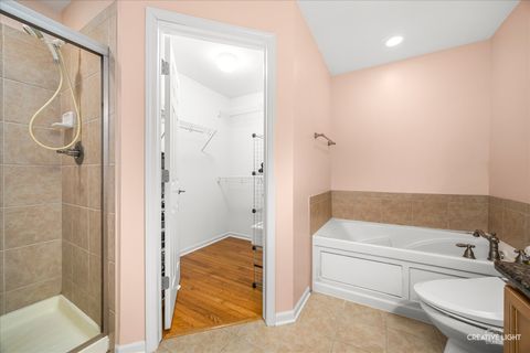 Tiny photo for 53 TALL GRASS Court, Streamwood, IL 60107 (MLS # 12582252)