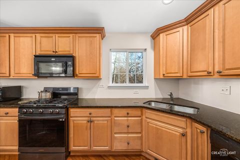 Tiny photo for 53 TALL GRASS Court, Streamwood, IL 60107 (MLS # 12582252)