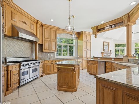 Tiny photo for 5N113 Burr Road, St. Charles, IL 60175 (MLS # 12404408)