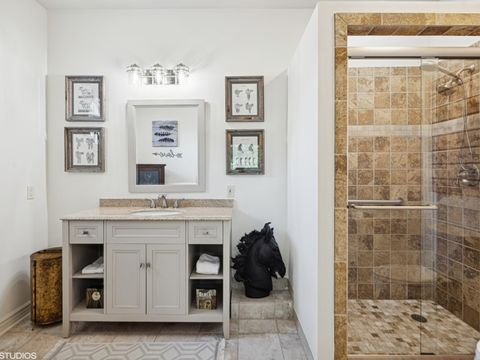 Tiny photo for 5N113 Burr Road, St. Charles, IL 60175 (MLS # 12404408)