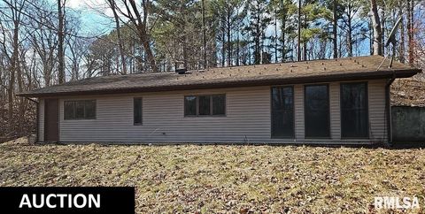 Photo of 90 CARLOCK Road, Murphysboro, IL 62966 (MLS # EB457869)