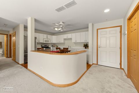 Tiny photo for 27 E Hattendorf Avenue #216, Roselle, IL 60172 (MLS # 12485092)