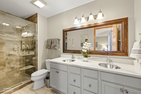 Tiny photo for 27 E Hattendorf Avenue #216, Roselle, IL 60172 (MLS # 12485092)