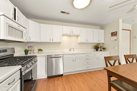 Tiny photo for 27 E Hattendorf Avenue #216, Roselle, IL 60172 (MLS # 12485092)