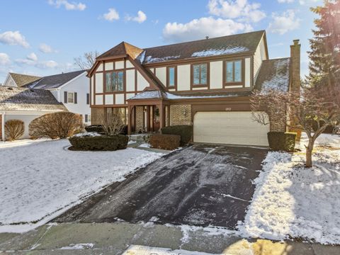 Photo of 1213 Silver Pine Drive, Hoffman Estates, IL 60010 (MLS # 12551945)