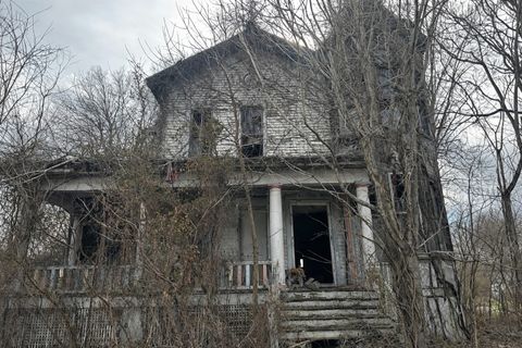 Photo of 613 Martin Luther King JR Avenue, Cairo, IL 62914 (MLS # 12582811)