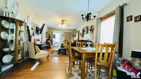 Tiny photo for 1104 W WEBSTER Street, Benton, IL 62812 (MLS # EB459163)