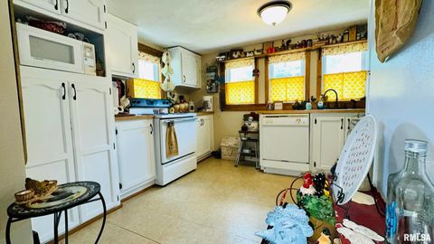 Tiny photo for 1104 W WEBSTER Street, Benton, IL 62812 (MLS # EB459163)