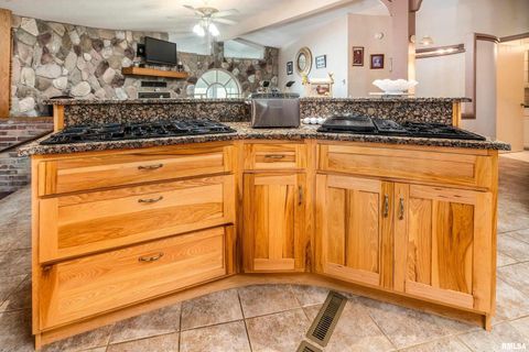 Tiny photo for 6694 SHAMROCK Road, Tamaroa, IL 62888 (MLS # EB460402)