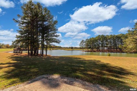 Tiny photo for 6694 SHAMROCK Road, Tamaroa, IL 62888 (MLS # EB460402)