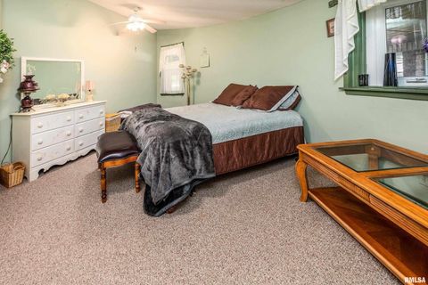 Tiny photo for 6694 SHAMROCK Road, Tamaroa, IL 62888 (MLS # EB460402)