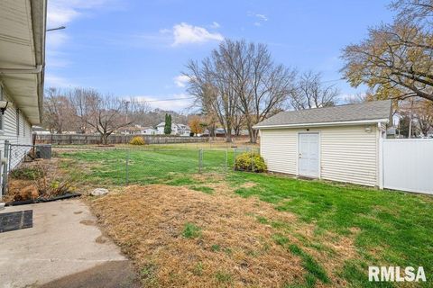 Tiny photo for 304 7TH Street, Hampton, IL 61244 (MLS # QC4269600)