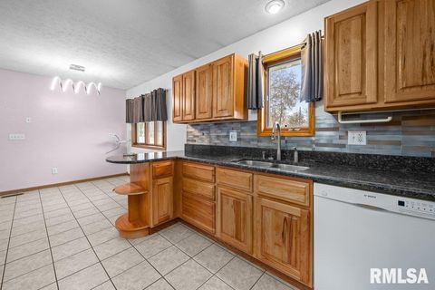 Tiny photo for 304 7TH Street, Hampton, IL 61244 (MLS # QC4269600)