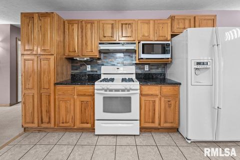 Tiny photo for 304 7TH Street, Hampton, IL 61244 (MLS # QC4269600)