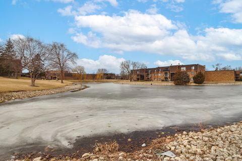 Tiny photo for 701 Limerick Lane #3B, Schaumburg, IL 60193 (MLS # 12570515)