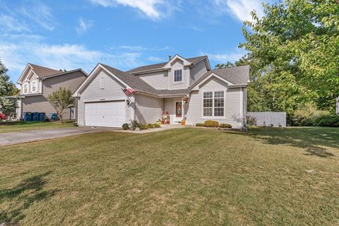 Photo of 5406 W Mulberry Lane, Monee, IL 60449 (MLS # 12493111)