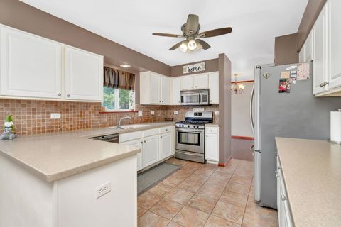 Tiny photo for 5406 W Mulberry Lane, Monee, IL 60449 (MLS # 12493111)