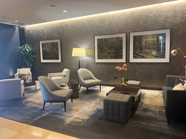 600 N Lake Shore Drive 914