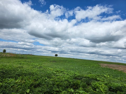 Tiny photo for 12257 Waterman Road, Waterman, IL 60556 (MLS # 12718888)