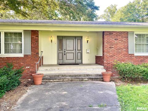 Tiny photo for 807 W MARKET Street, Christopher, IL 62822 (MLS # EB458508)