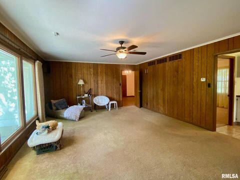 Tiny photo for 807 W MARKET Street, Christopher, IL 62822 (MLS # EB458508)