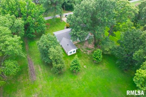 Tiny photo for 807 W MARKET Street, Christopher, IL 62822 (MLS # EB458508)