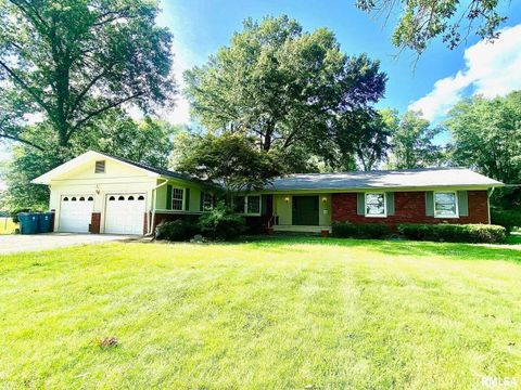 Tiny photo for 807 W MARKET Street, Christopher, IL 62822 (MLS # EB458508)