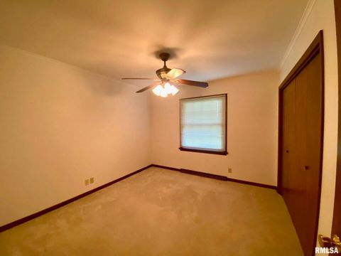 Tiny photo for 807 W MARKET Street, Christopher, IL 62822 (MLS # EB458508)