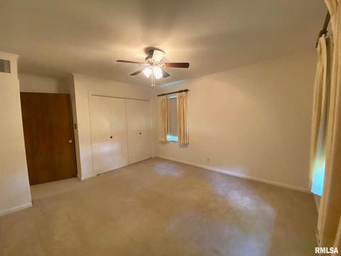 Tiny photo for 807 W MARKET Street, Christopher, IL 62822 (MLS # EB458508)