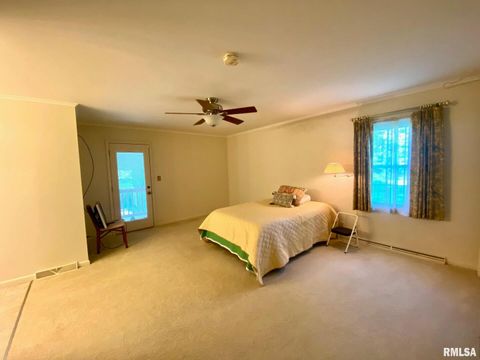 Tiny photo for 807 W MARKET Street, Christopher, IL 62822 (MLS # EB458508)