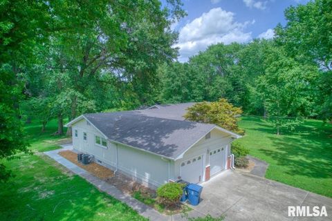 Tiny photo for 807 W MARKET Street, Christopher, IL 62822 (MLS # EB458508)