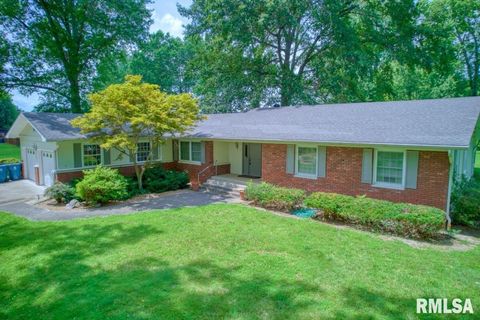 Tiny photo for 807 W MARKET Street, Christopher, IL 62822 (MLS # EB458508)