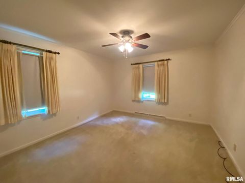 Tiny photo for 807 W MARKET Street, Christopher, IL 62822 (MLS # EB458508)