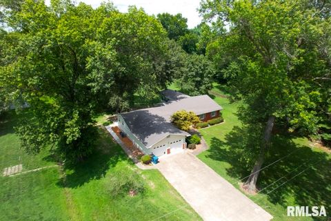 Tiny photo for 807 W MARKET Street, Christopher, IL 62822 (MLS # EB458508)