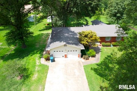 Tiny photo for 807 W MARKET Street, Christopher, IL 62822 (MLS # EB458508)