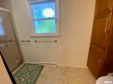 Tiny photo for 807 W MARKET Street, Christopher, IL 62822 (MLS # EB458508)