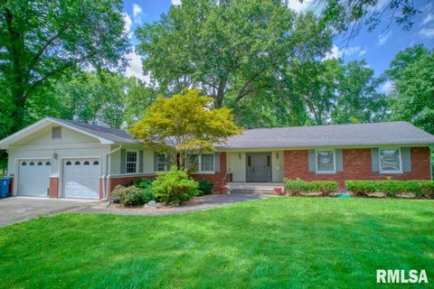 Tiny photo for 807 W MARKET Street, Christopher, IL 62822 (MLS # EB458508)