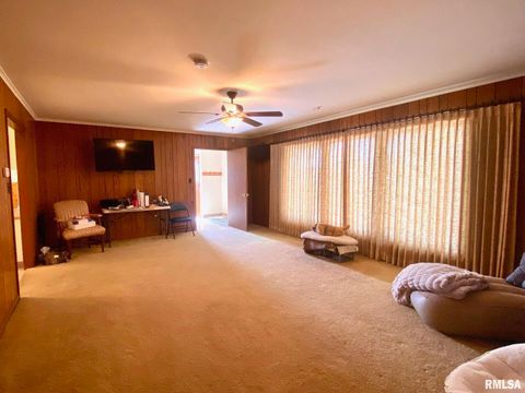 Tiny photo for 807 W MARKET Street, Christopher, IL 62822 (MLS # EB458508)