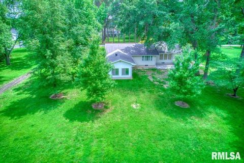 Tiny photo for 807 W MARKET Street, Christopher, IL 62822 (MLS # EB458508)