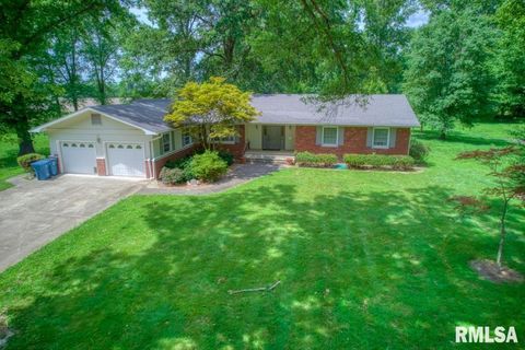 Tiny photo for 807 W MARKET Street, Christopher, IL 62822 (MLS # EB458508)