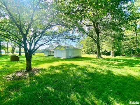 Tiny photo for 807 W MARKET Street, Christopher, IL 62822 (MLS # EB458508)