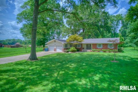 Tiny photo for 807 W MARKET Street, Christopher, IL 62822 (MLS # EB458508)
