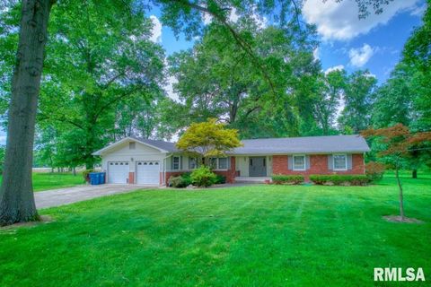 Tiny photo for 807 W MARKET Street, Christopher, IL 62822 (MLS # EB458508)