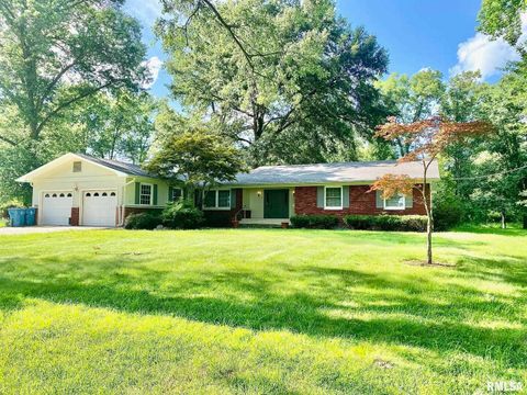 Photo of 807 W MARKET Street, Christopher, IL 62822 (MLS # EB458508)