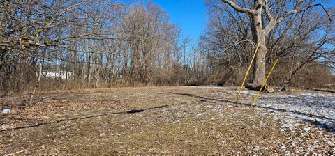 MLS: 12438439
