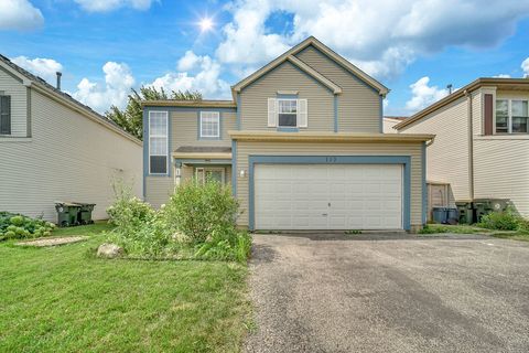 Photo of 119 E Aspen Circle, Hainesville, IL 60030 (MLS # 12713006)